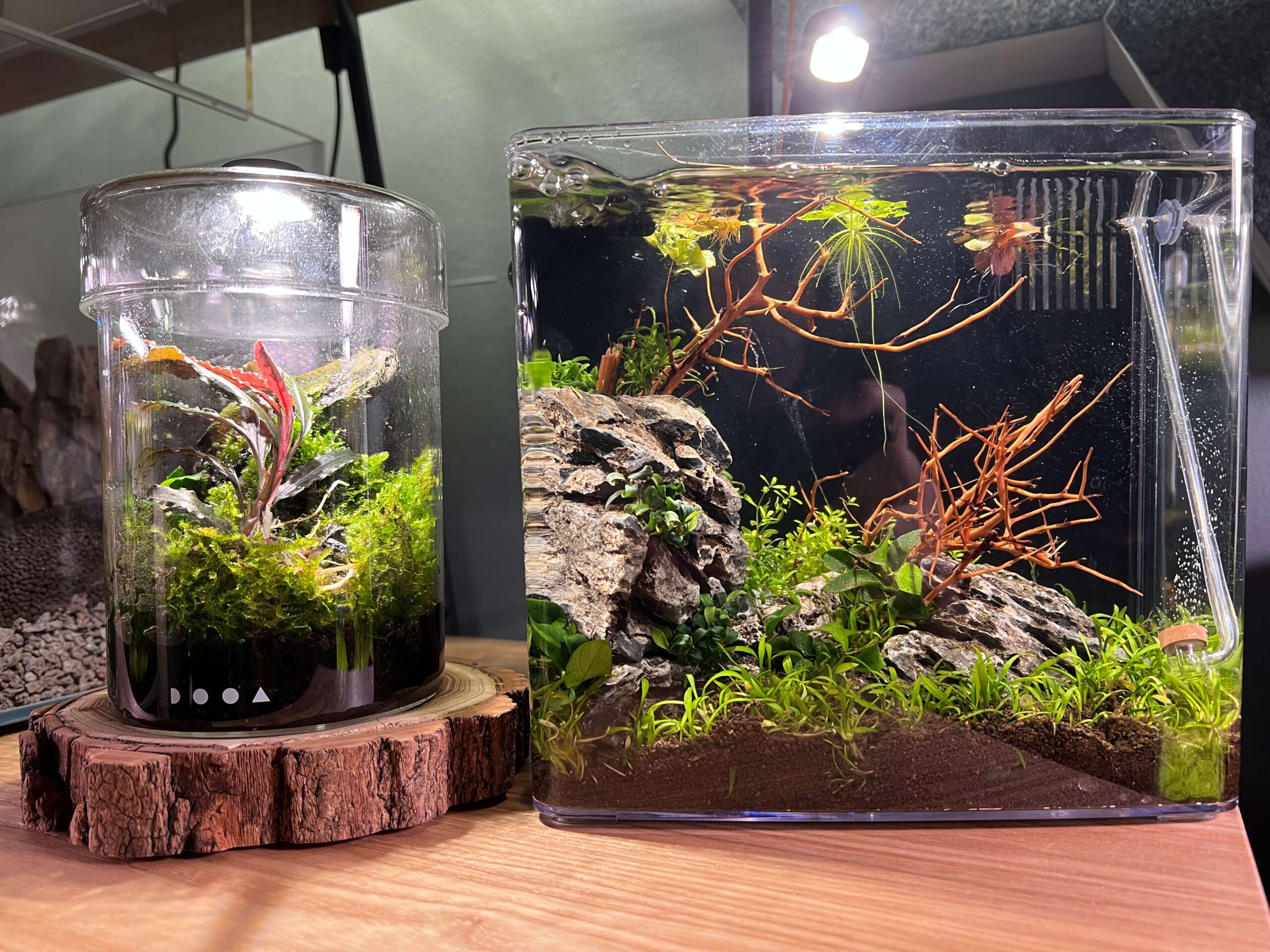 CO2 Zufuhr für jedes Aquascape