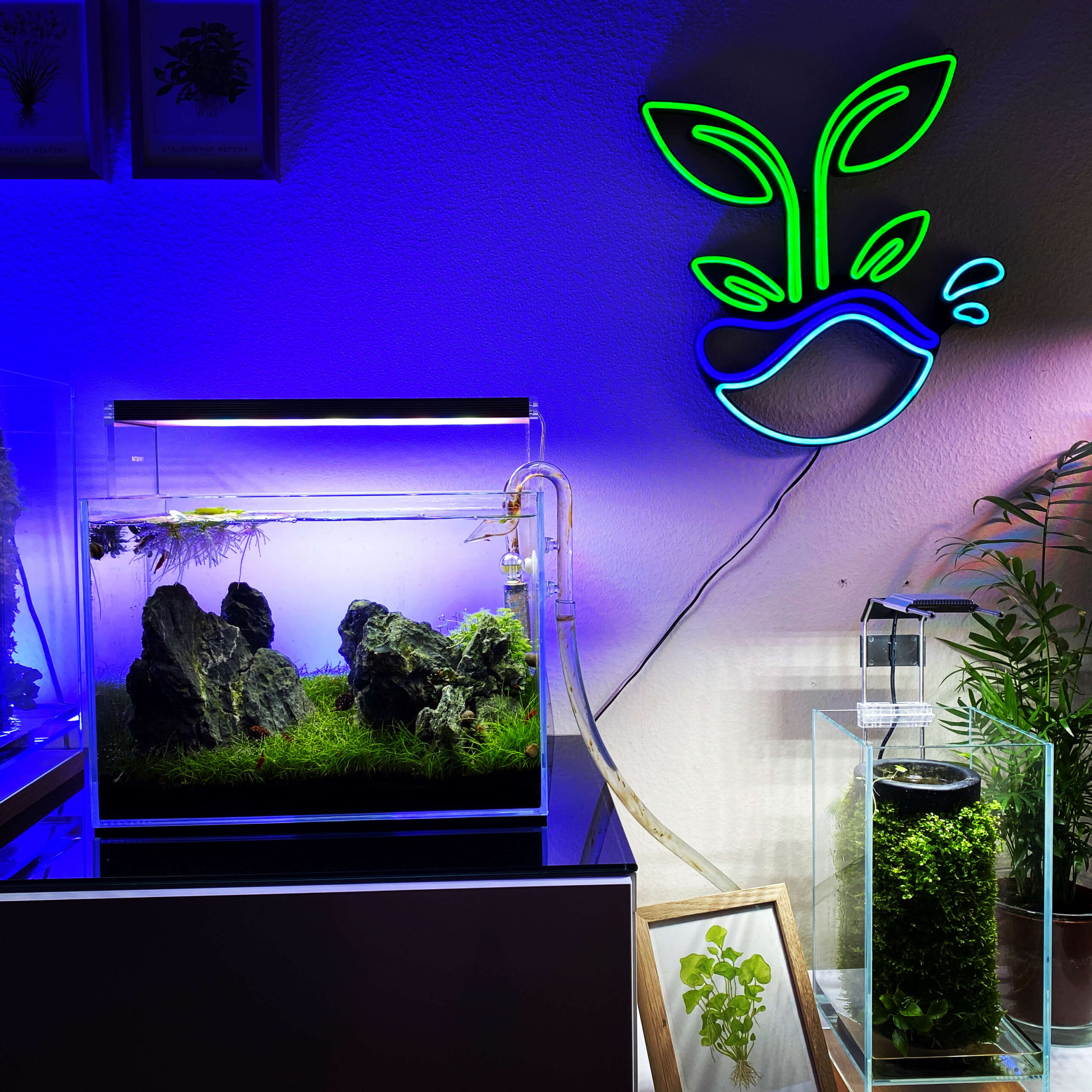 Mini-M Aquarium im Iwagumi-Stil mit Terra-Base und Nano-LED-Beleuchtung